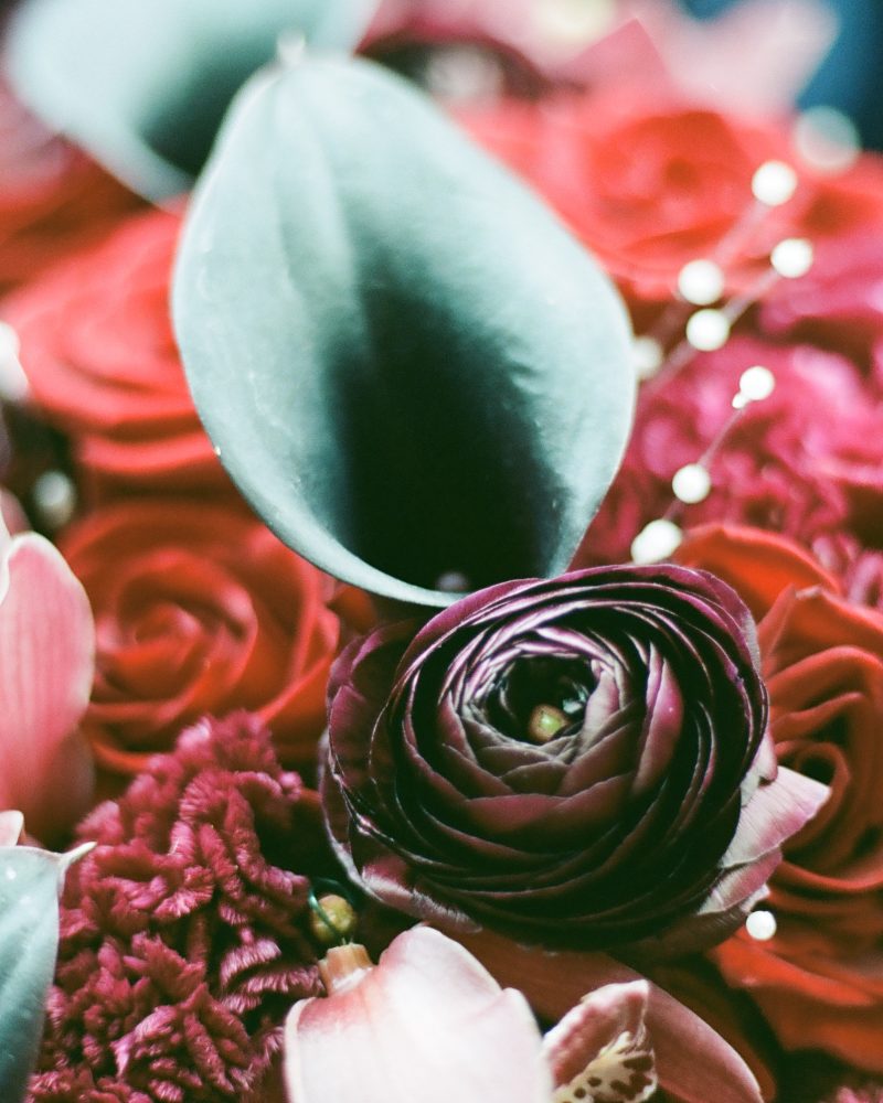 A close-up of a vibrant floral arrangement, perfect for an elopement, featuring deep red roses, burgundy ranunculus, dark green leaves, and hints of pink flowers—captured by a Canmore photographer with a softly blurred background.