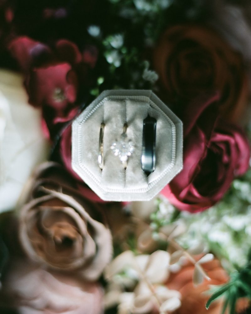 A soft-focus photo of a velvet ring box holding two gold rings and a diamond engagement ring, surrounded by blush and burgundy roses and greenery, captures the romantic essence of a Banff or Canmore wedding.
